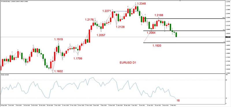 EURUSD  02月04日 日线级别