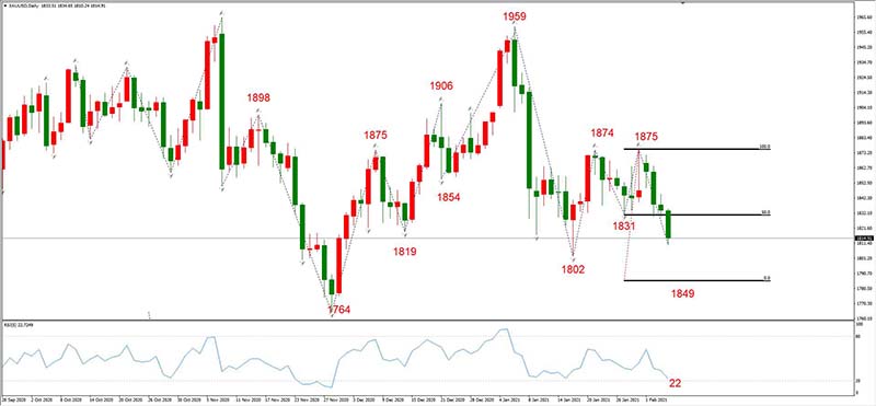 XAUUSD 02月04日 日线级别