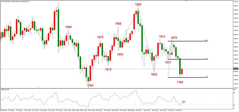 XAUUSD 02月05日 日线级别