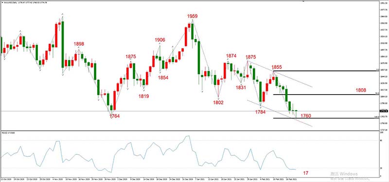 XAUUSD 02月19日 日线级别