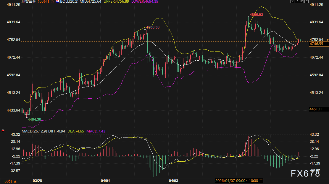 美债刚想抬头又被霍尔木兹按下去，黄金多空摊牌只剩最后2天