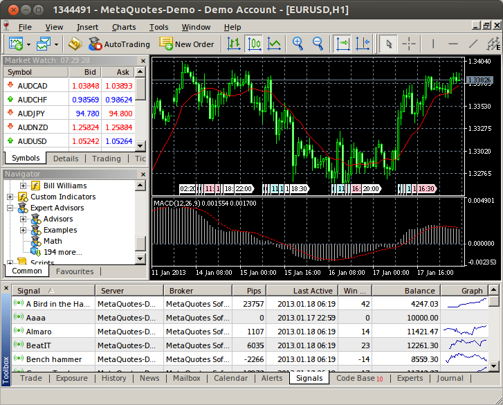 Ubuntu 上的 MetaTrader 5