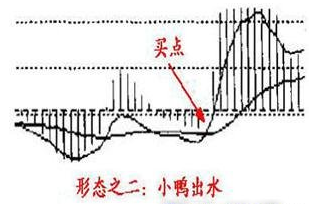 小鸭出水