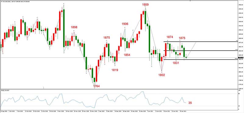 XAUUSD 02月03日 日线级别