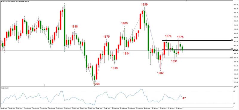 XAUUSD 02月02日 日线级别